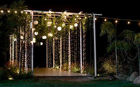 Rustic Vogue