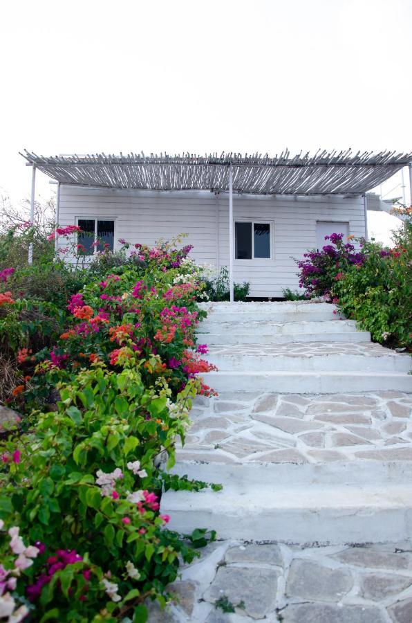 Rustic Vogue Hotel Shamirpet Exterior photo